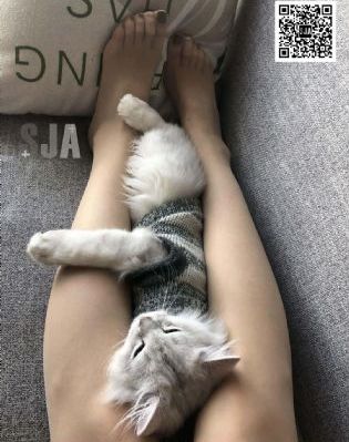 长生界全集